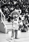 20241029 URB Quimper-EB-14